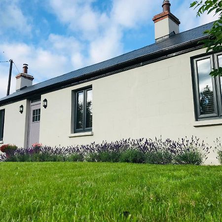Lavender Cottage - 2 Bedroom Home Newbridge  Extérieur photo