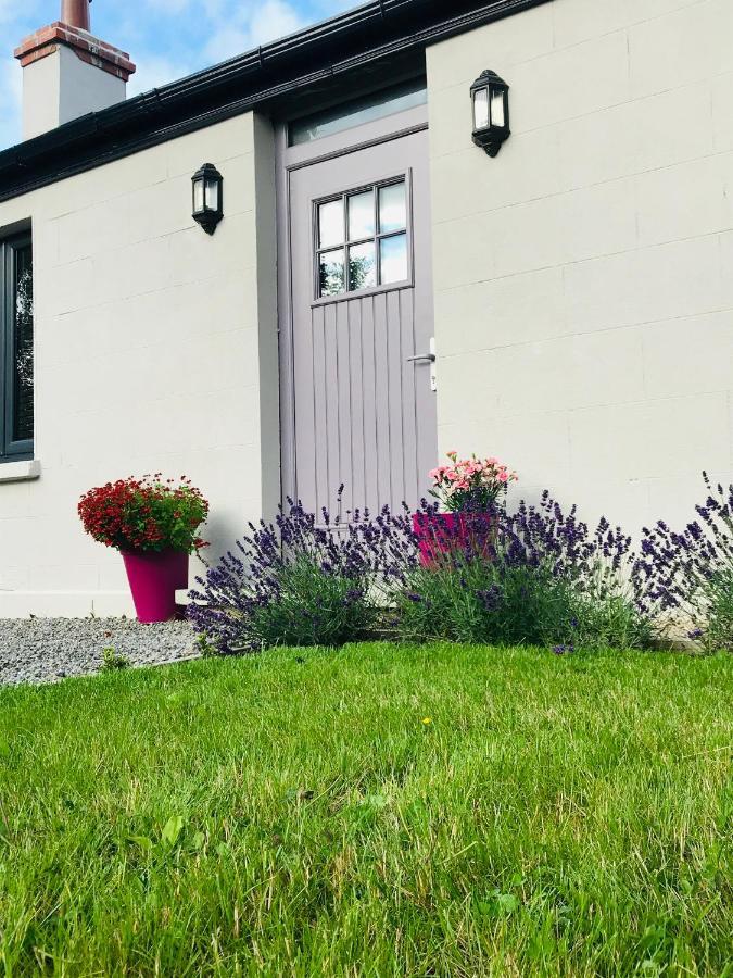 Lavender Cottage - 2 Bedroom Home Newbridge  Extérieur photo